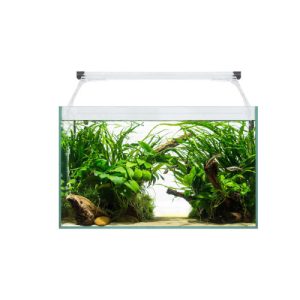 AQUA LIGHT GLASS